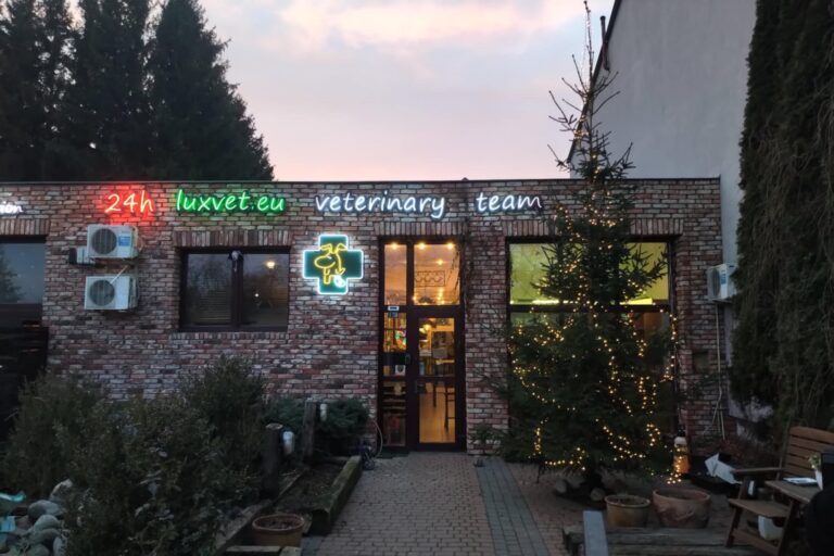 6002f795-e59a-4b1d-8933-a46eee272ce9