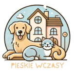 Hotel dla psów, hotel dla kotów