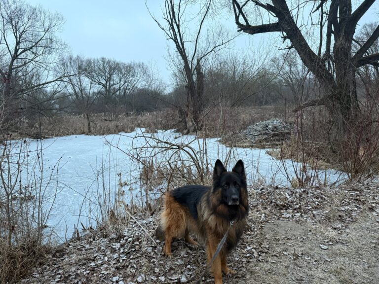 476075481_644440684617593_5161156054880180163_n