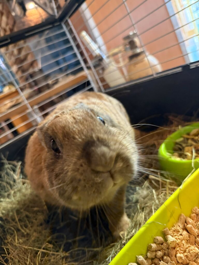 482440020_9273638046061496_8475015041277629307_n