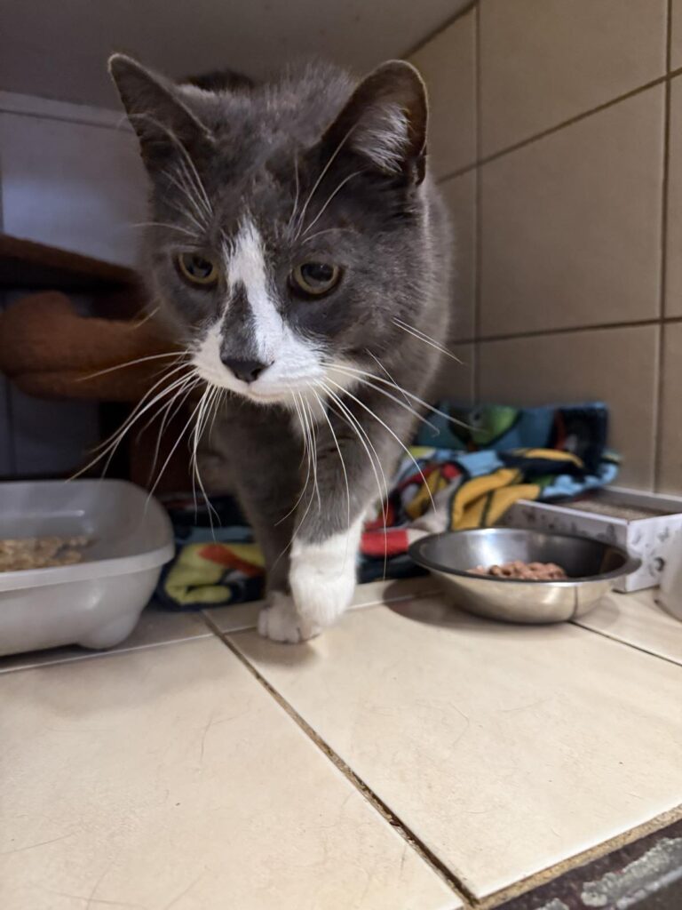 490997350_1090673653106215_5232221485188673356_n