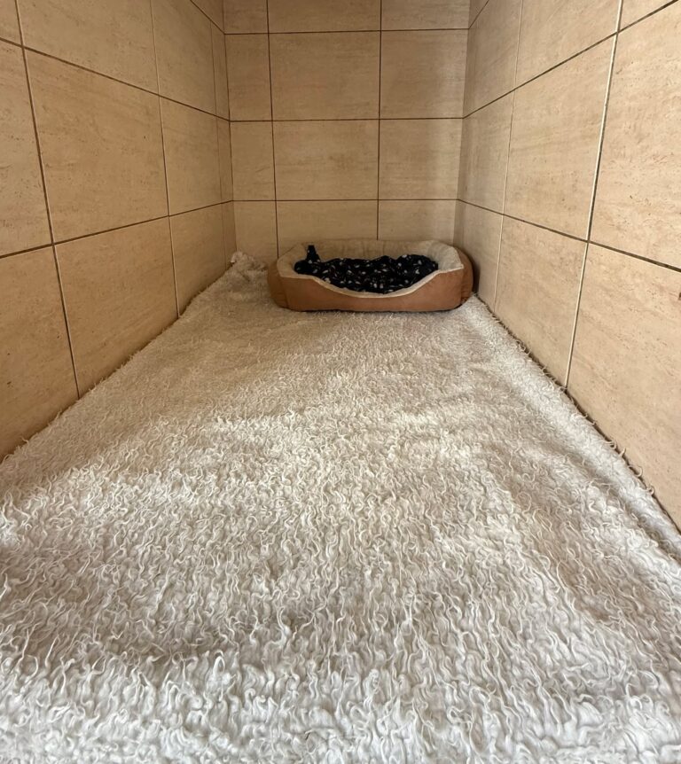 490999658_1325965002025968_8835016483120123280_n