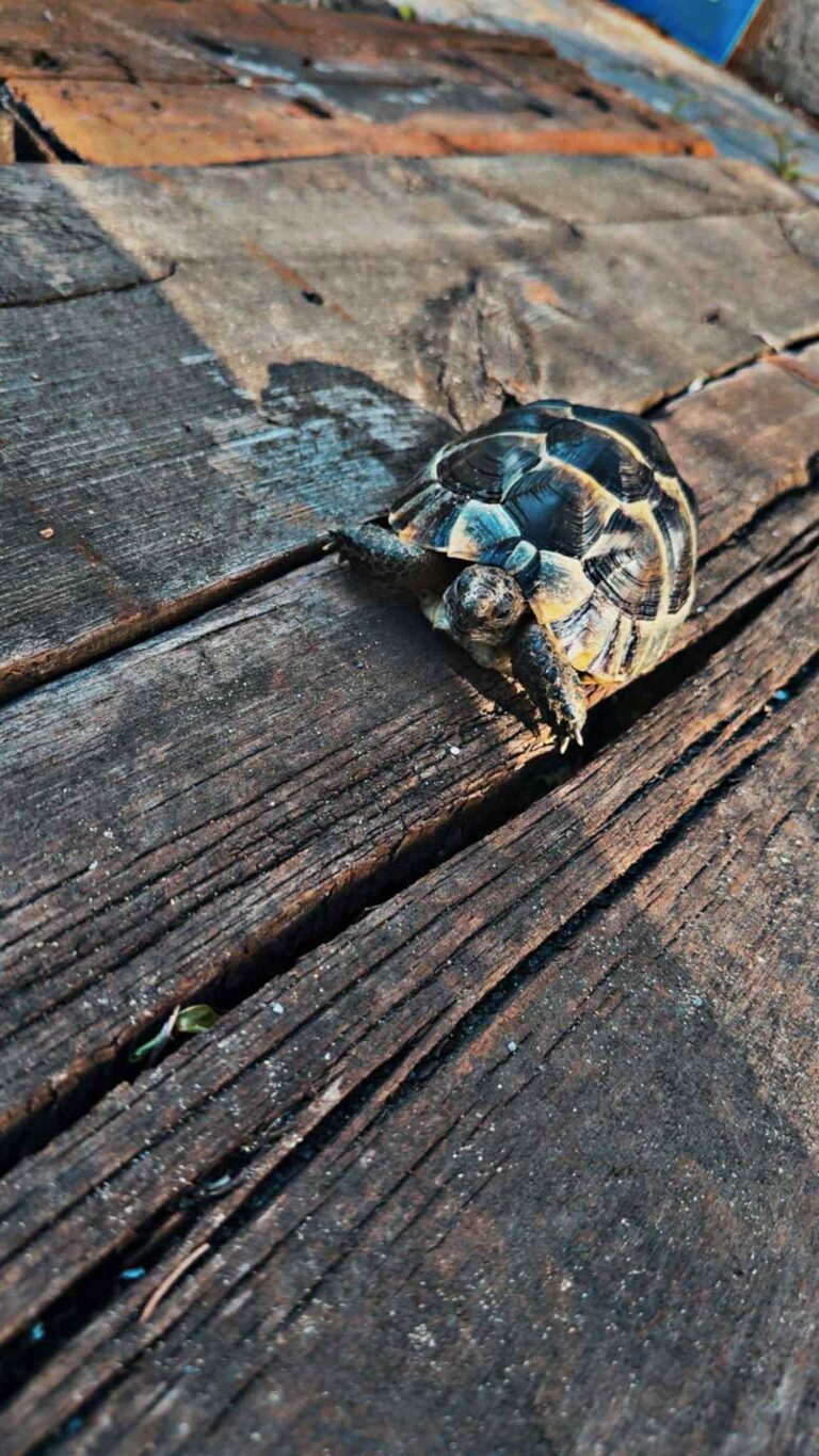 b13548bd-a706-411a-9040-e522c261cee4