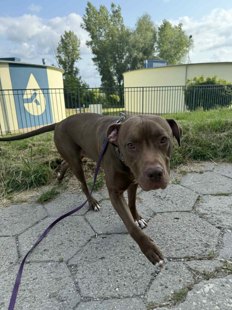 dbed91f4-abf5-4187-908b-a07abfe63f50